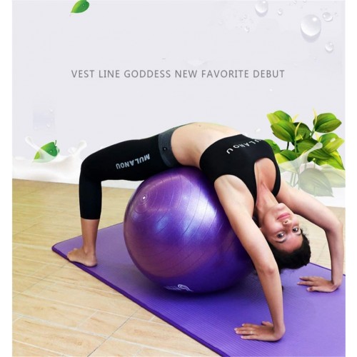 Exercise Ball Extra Thick Yoga Ball Chair, Anti-Burst Heavy Duty Stability Ball Supports 2200lbs, Birthing Ball with Quick Pump
